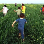 Children running through the fields